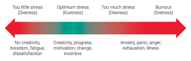 eustress-and-distress-in-elite-sport